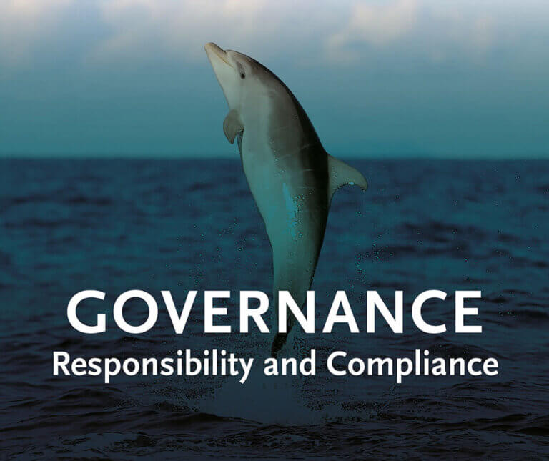 ESG Governance